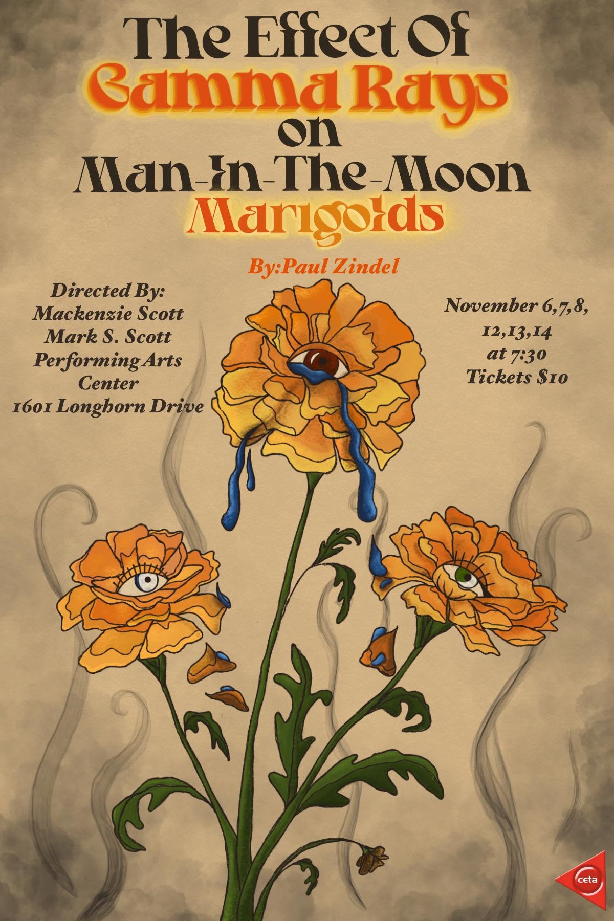 The Effect of Gamma Rays on Man-In-The-Moon Marigolds – RBV Drama production poster with marigold illustration, November dates at 7:30pm, tickets $10